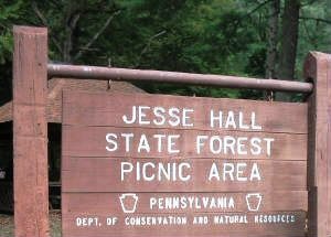 Hall/jesse_hall_state_picnic_area_west_renovo_pa.jpg.jpg