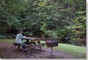 Lock_Haven/upperpinebottom_picnic_edge.jpg