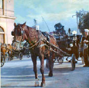 Navy/Hodge_Palermo_Sicily_1962.jpg