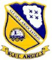 Navy/blue_angels_patch.jpg