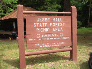 Renovo_Pa/Jesse_Hall_State_Picnic_Area.JPG