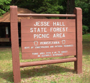 Renovo_Pa/Jesse_Hall_State_Picnic_Area_Halls_Run_W_Renovo_Pa.jpg